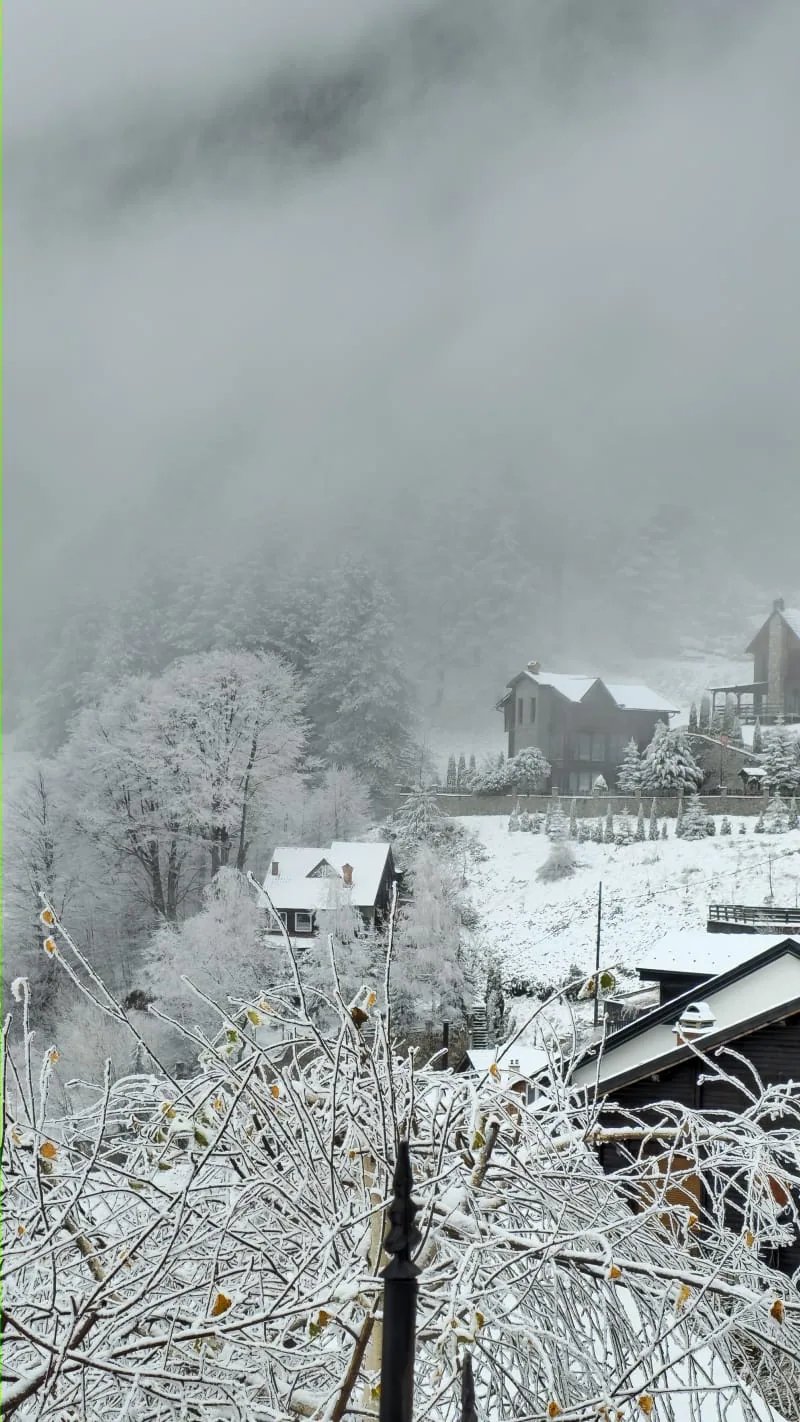 Snow-covered trees and houses in Prevallë